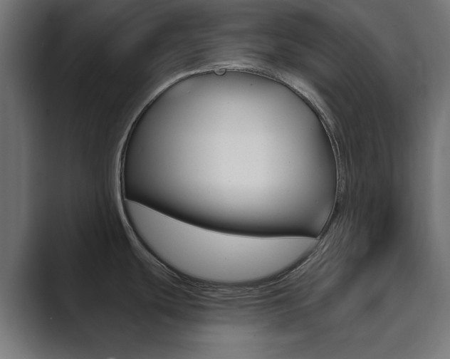 X0000089851439200706281012