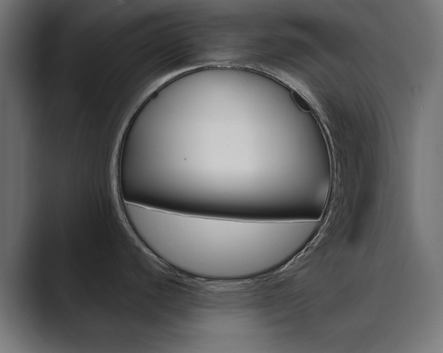 X0000089851440200706281012