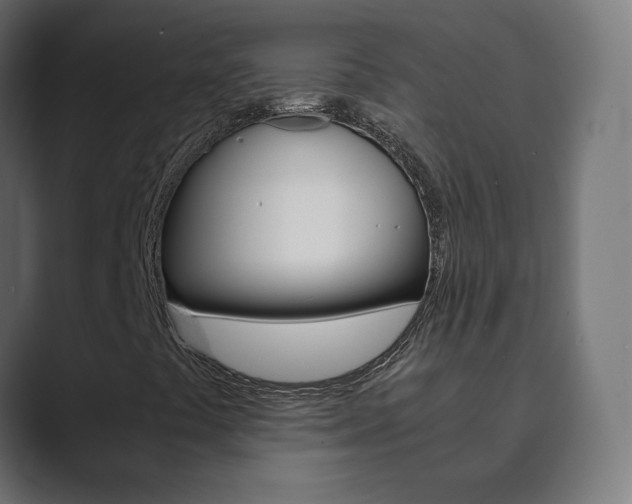 X0000089851441200706281011