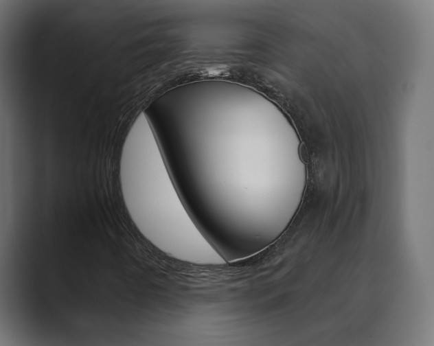 X0000089851442200706281011