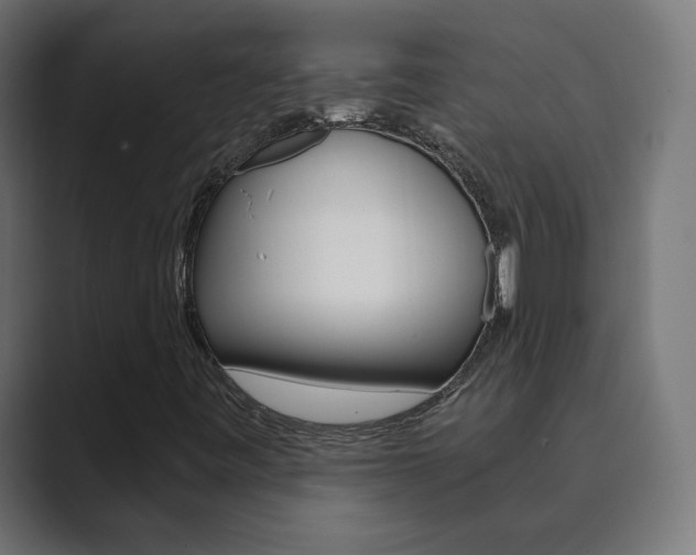 X0000089851443200706281011