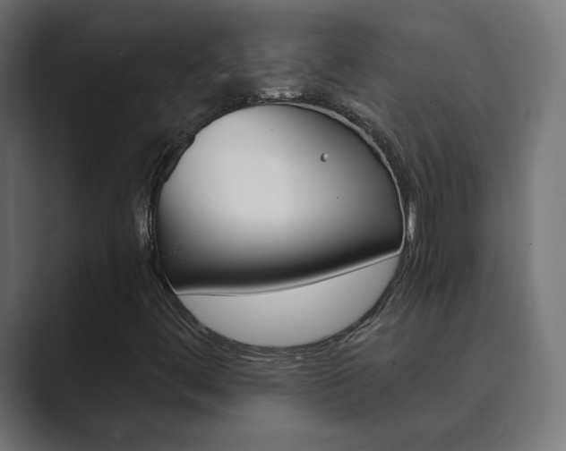 X0000089851444200706281011