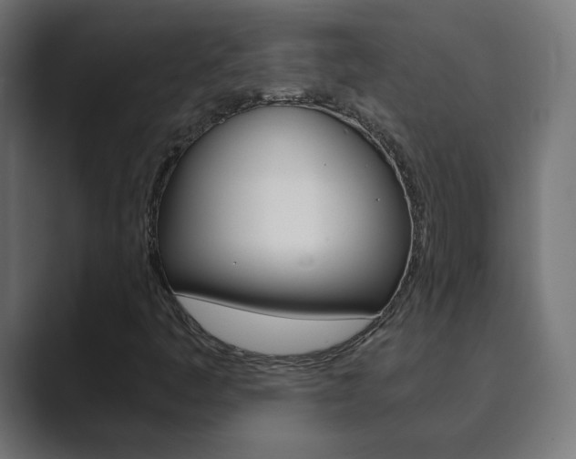 X0000089851445200706281011