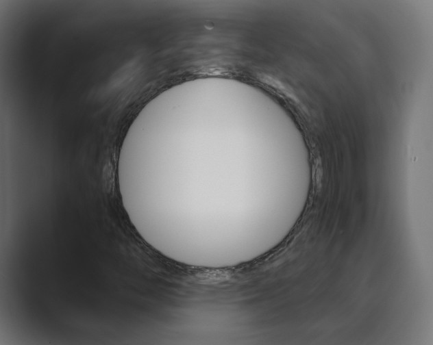 X0000089851446200706281011