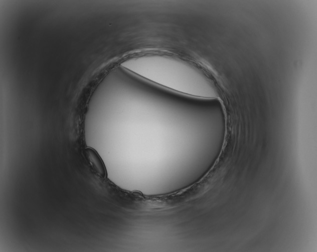 X0000089851448200706281011