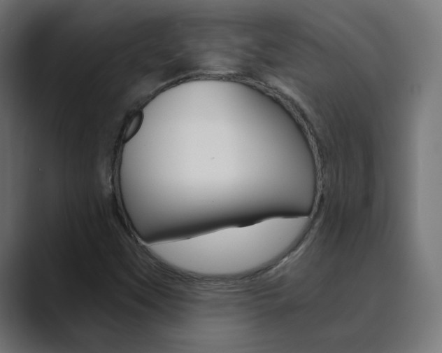 X0000089851451200706281011