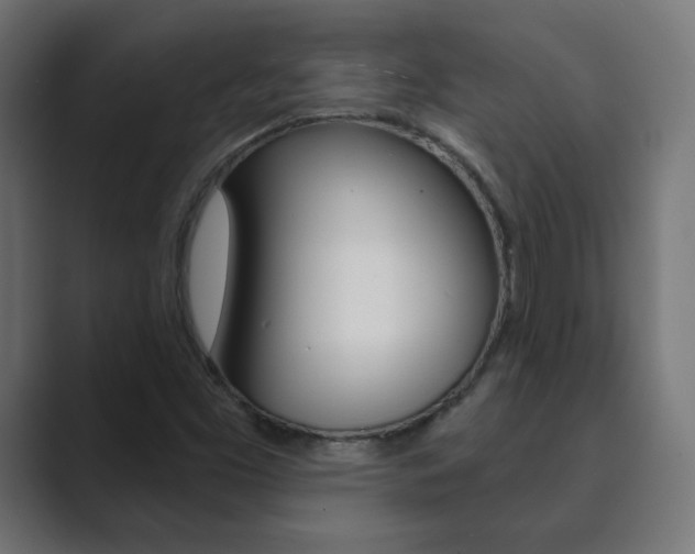 X0000089851453200706281011