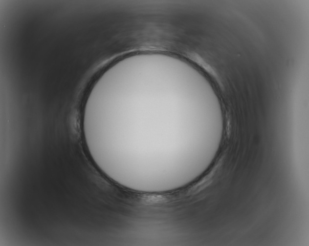 X0000089851454200706281011