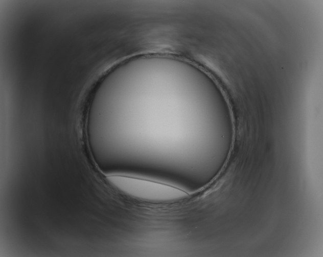 X0000089851455200706281011
