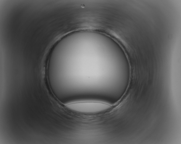 X0000089851459200706281011