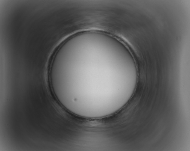 X0000089851460200706281011