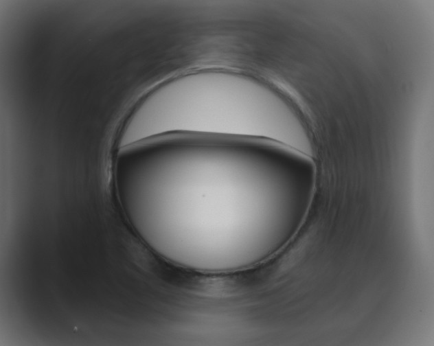 X0000089851461200706281011