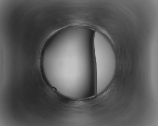 X0000089851463200706281011