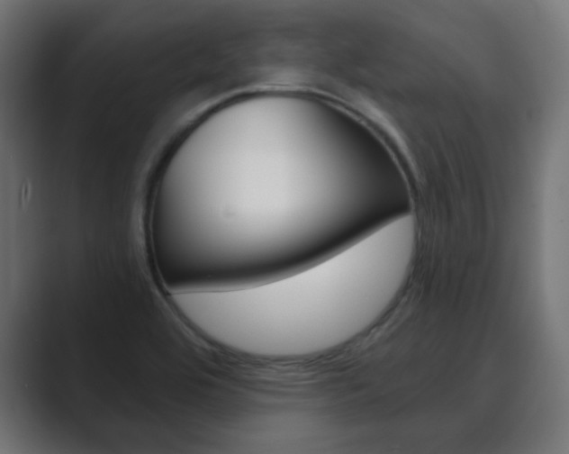 X0000089851464200706281011