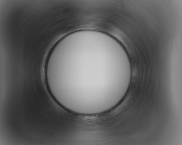 X0000089851466200706281011
