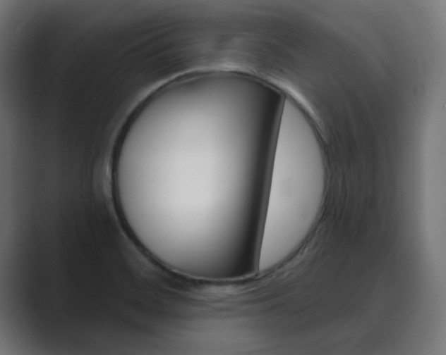 X0000089851468200706281011