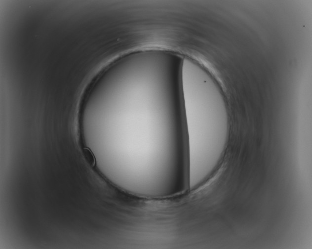 X0000089851469200706281011