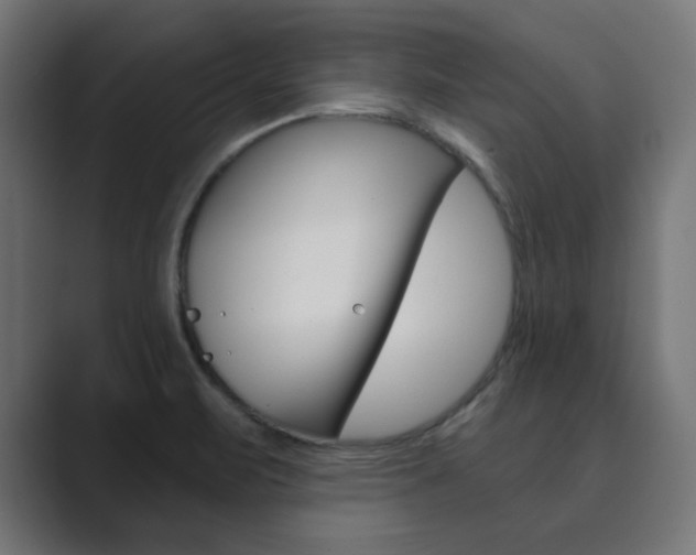 X0000089851471200706281011