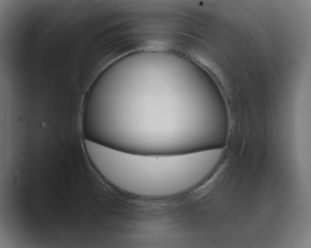 X0000089851473200706281011