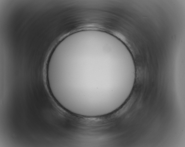 X0000089851474200706281011