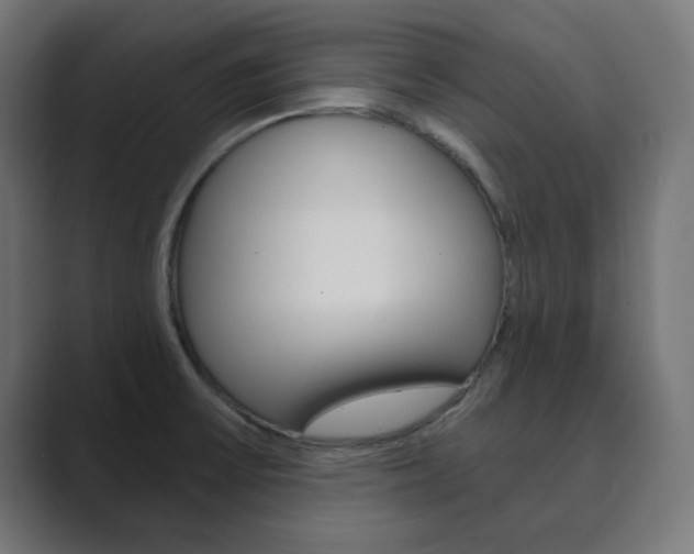 X0000089851475200706281011