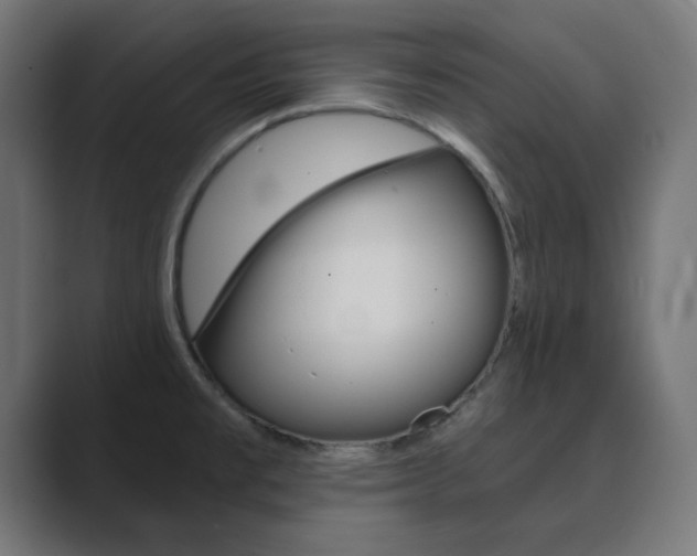 X0000089851477200706281011