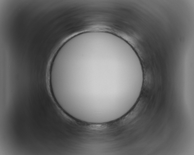 X0000089851478200706281011