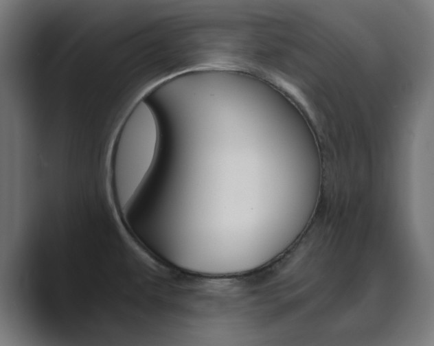 X0000089851479200706281011