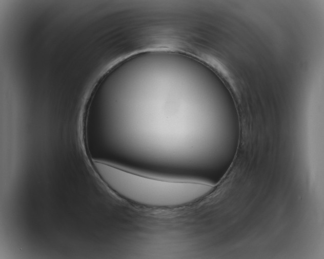 X0000089851480200706281011