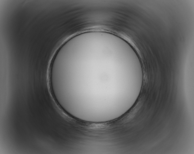 X0000089851482200706281011