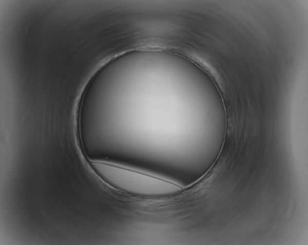 X0000089851483200706281011