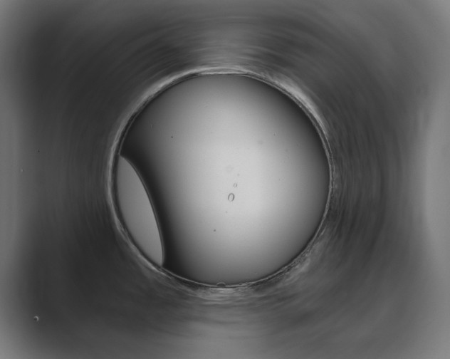 X0000089851485200706281011