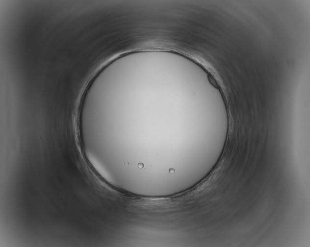 X0000089851486200706281011