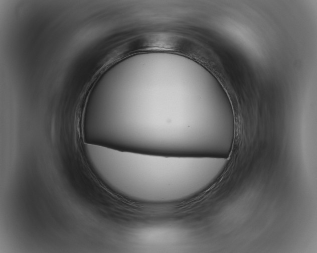X0000089851487200706281011