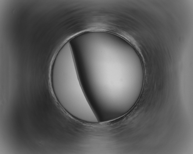 X0000089851488200706281010