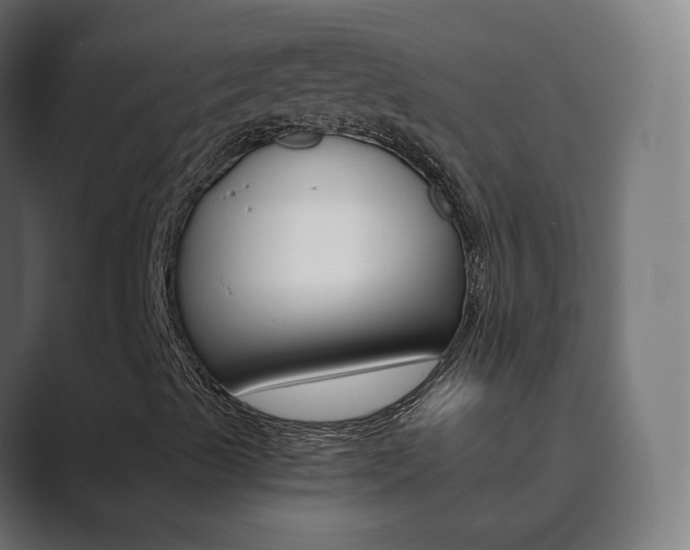 X0000089851489200706281010
