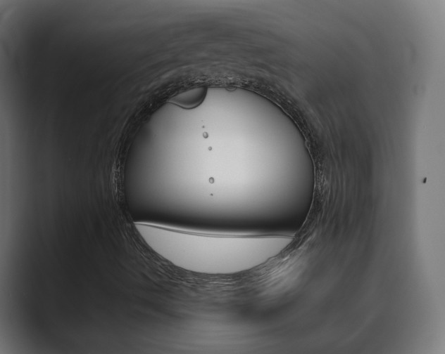 X0000089851490200706281010
