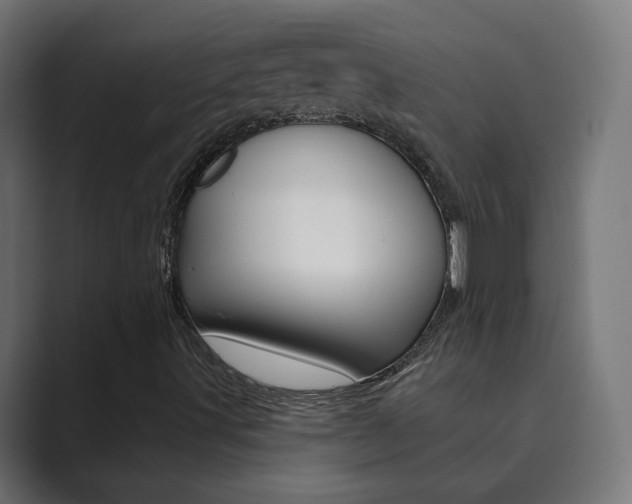 X0000089851491200706281010