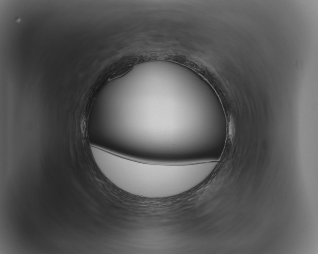 X0000089851492200706281010