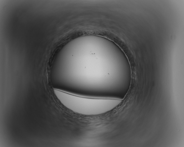 X0000089851493200706281010