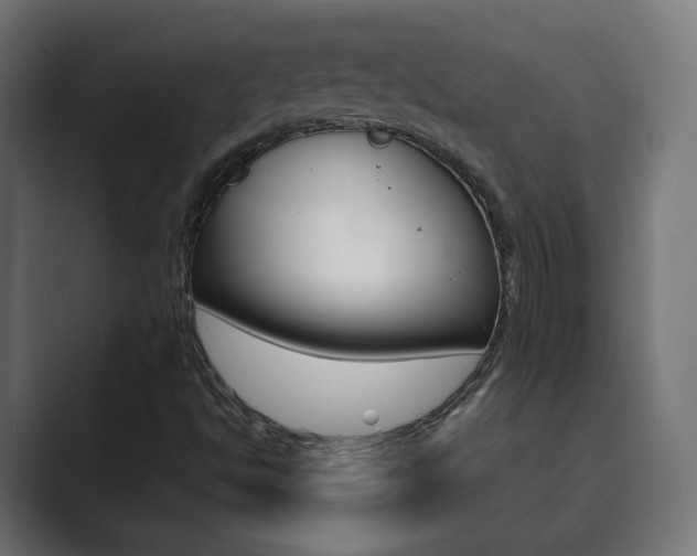 X0000089851494200706281010