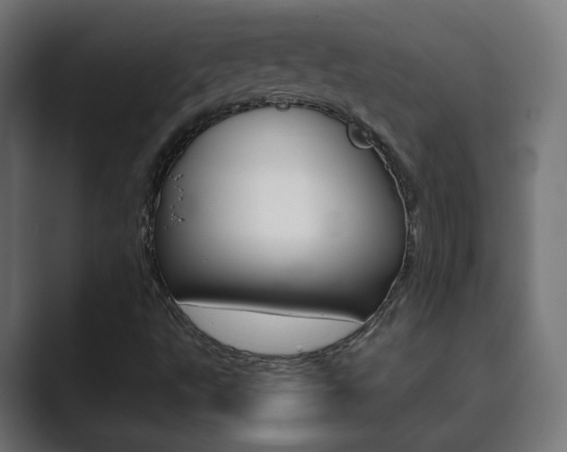 X0000089851495200706281010