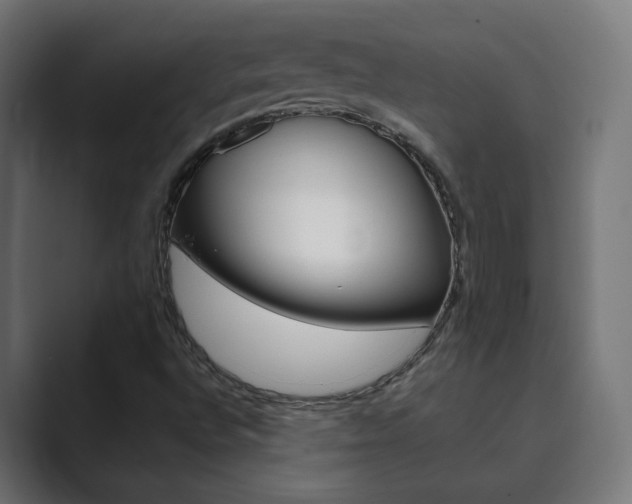 X0000089851496200706281010