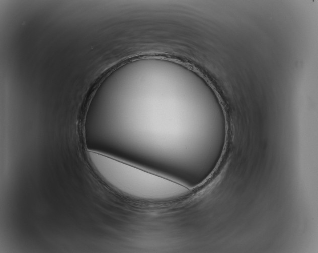 X0000089851497200706281010