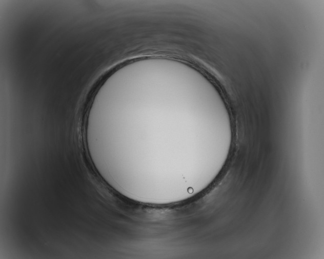 X0000089851498200706281010