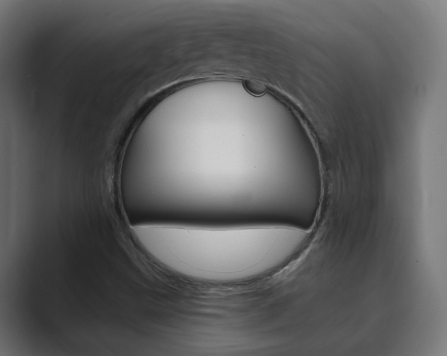 X0000089851499200706281010