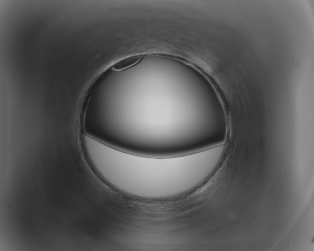 X0000089851500200706281010