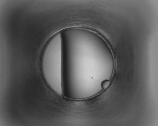 X0000089851501200706281010