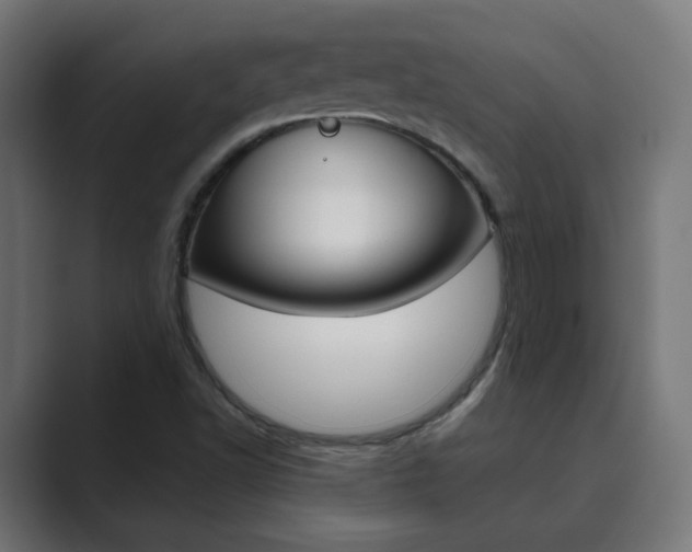 X0000089851502200706281010