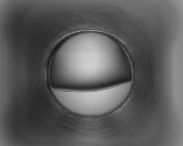 X0000089851503200706281010